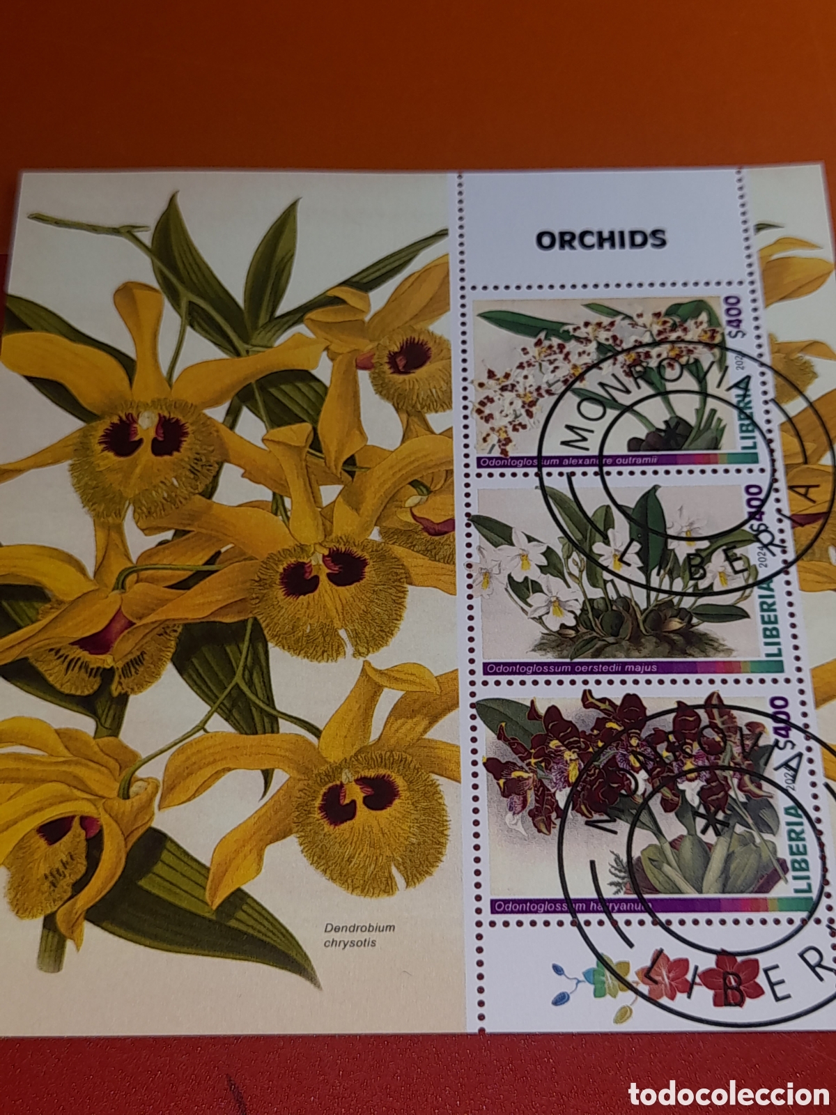 Sellos: HB Liberia mtdo 2024. Orqu&iacute;deas. Flores. Flora. Plantas. Naturaleza.