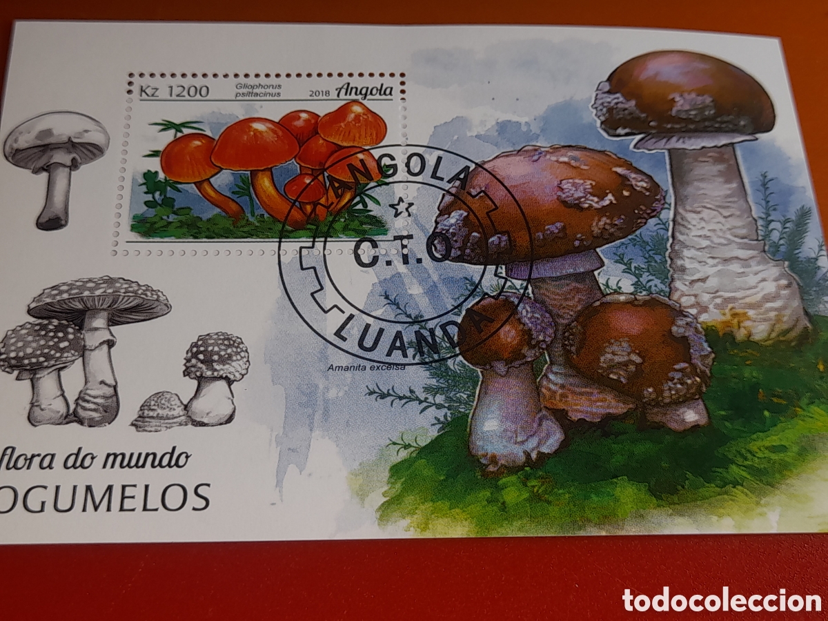 Sellos: HB Angola mtda 2018. Flora. Setas. Hongos. Champi&ntilde;&oacute;n. Descomponedores. Naturaleza. Flora.