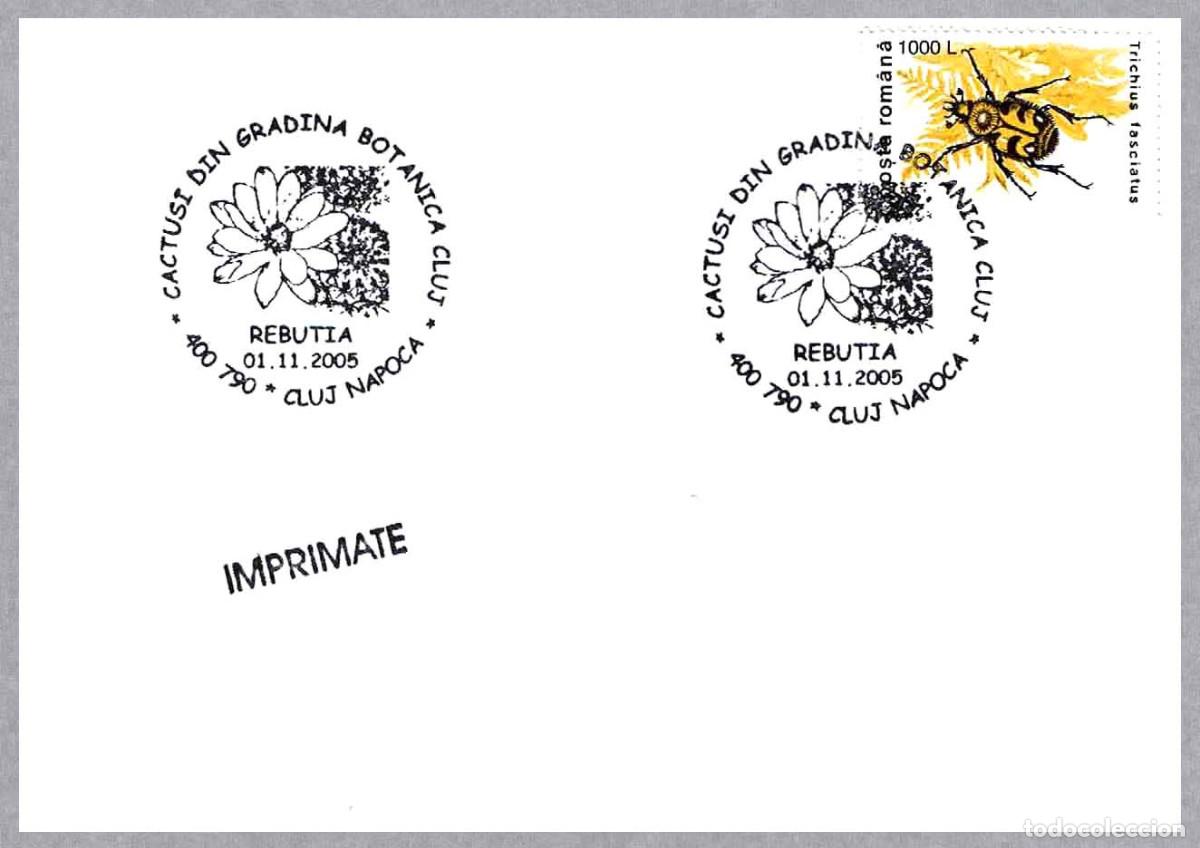Sellos: Matasellos - FLORA - CACTUS - REBUTIA. Cluj Napoca, Rumania, 2005