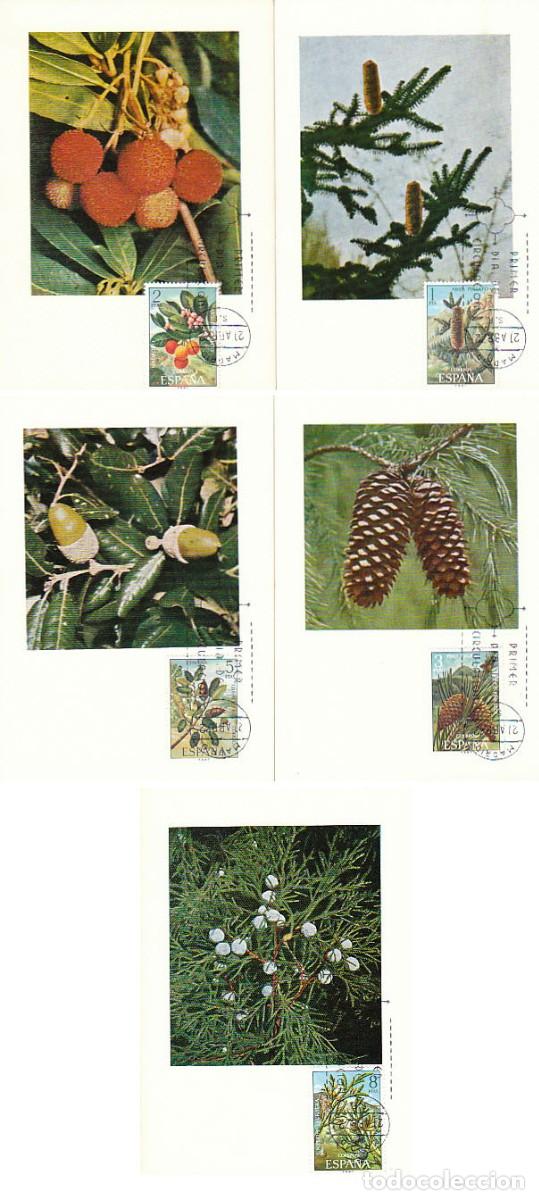 Sellos: EDIFIL 2085/9, FLORA 1972, TARJETA MAXIMA DE PRIMER D&Iacute;A DE 21-4-1972, SERIE COMPLETA