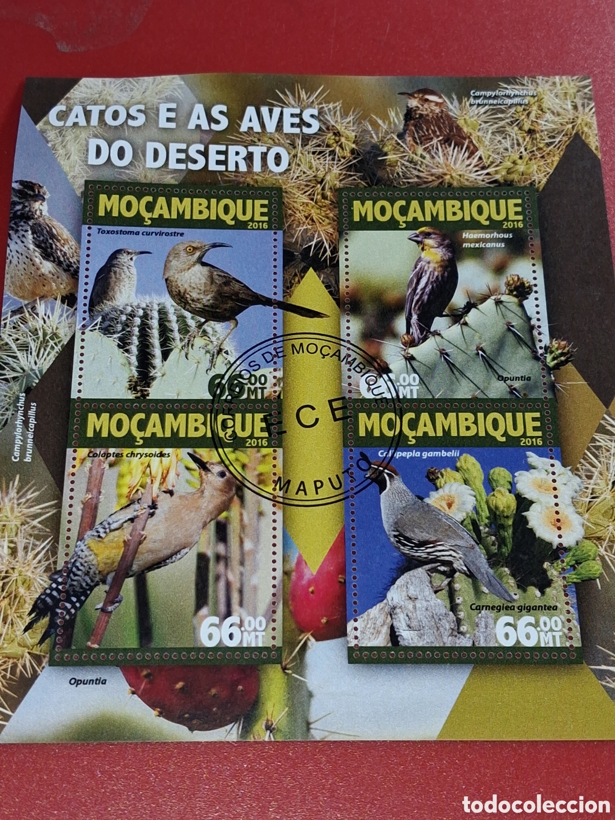 Sellos: HB Mozambique mtdo 2016. Cactus. Plantas. Fauna. Naturaleza. Aves desierto. Pajaros. Fauna.