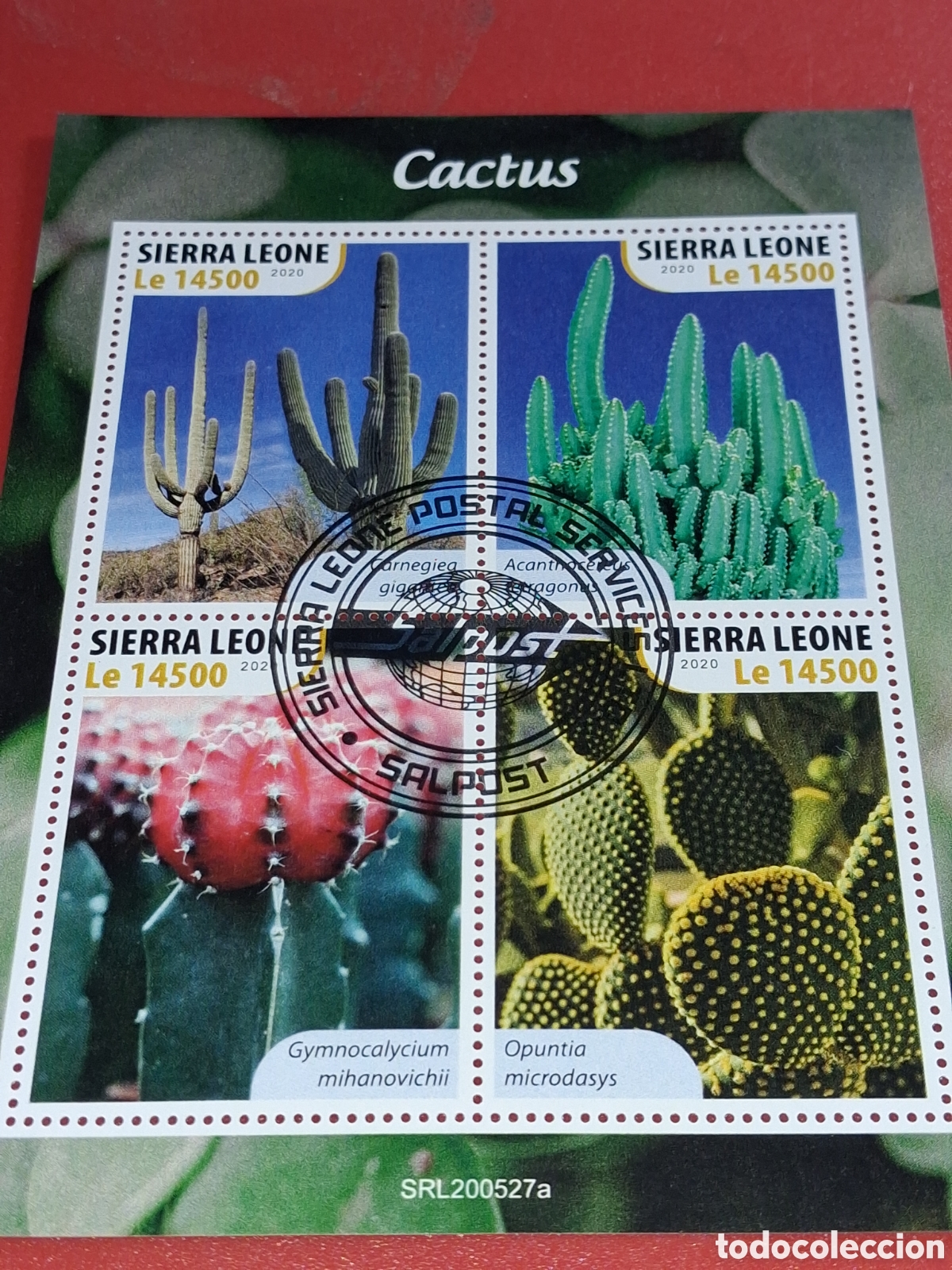 Sellos: HB Sierra Leona mtdo 2020. Cactus. Plantas. Naturaleza. Flora. Desierto.