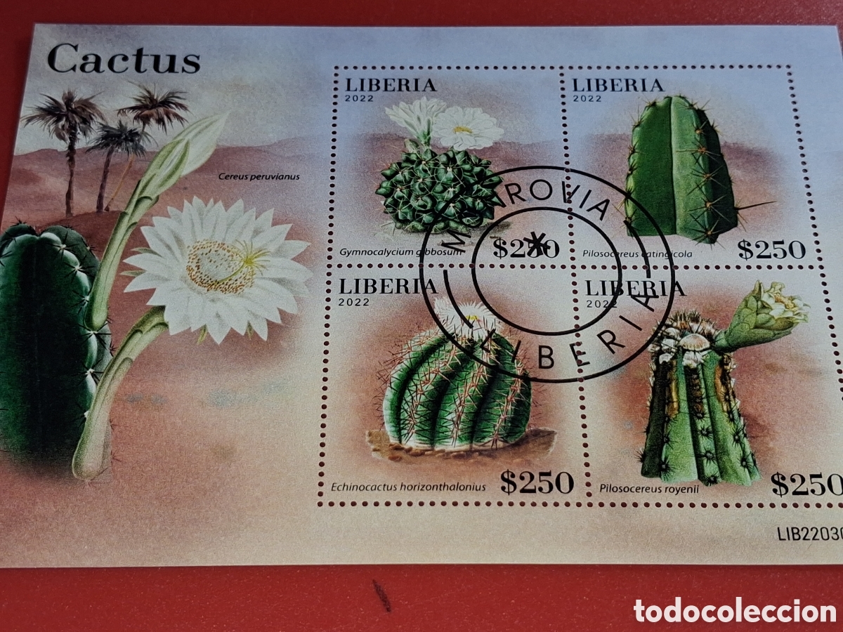 Sellos: HB Liberia mtdo 2022. Cactus. Plantas. Naturaleza. Flora. Desierto. Flores.
