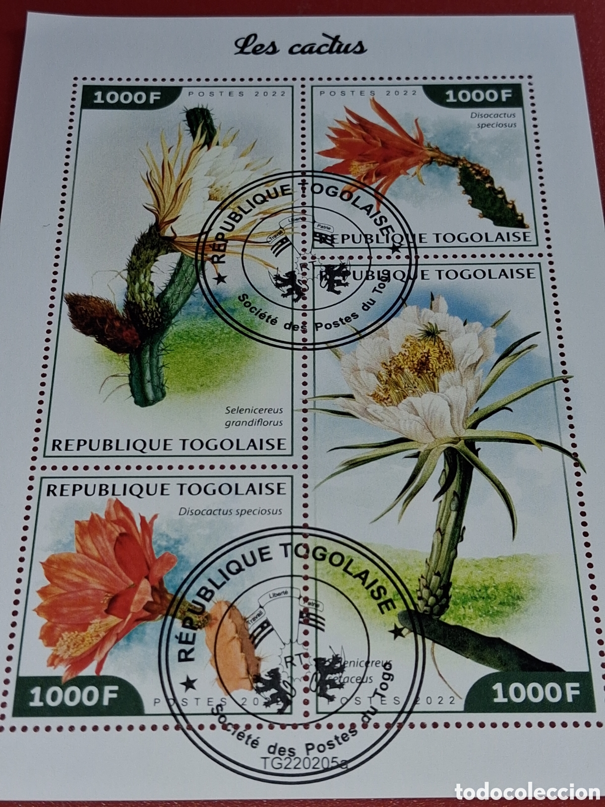 Sellos: HB Togo mtdo 2022. Cactus. Plantas. Naturaleza. Flora. Desierto. Flores.