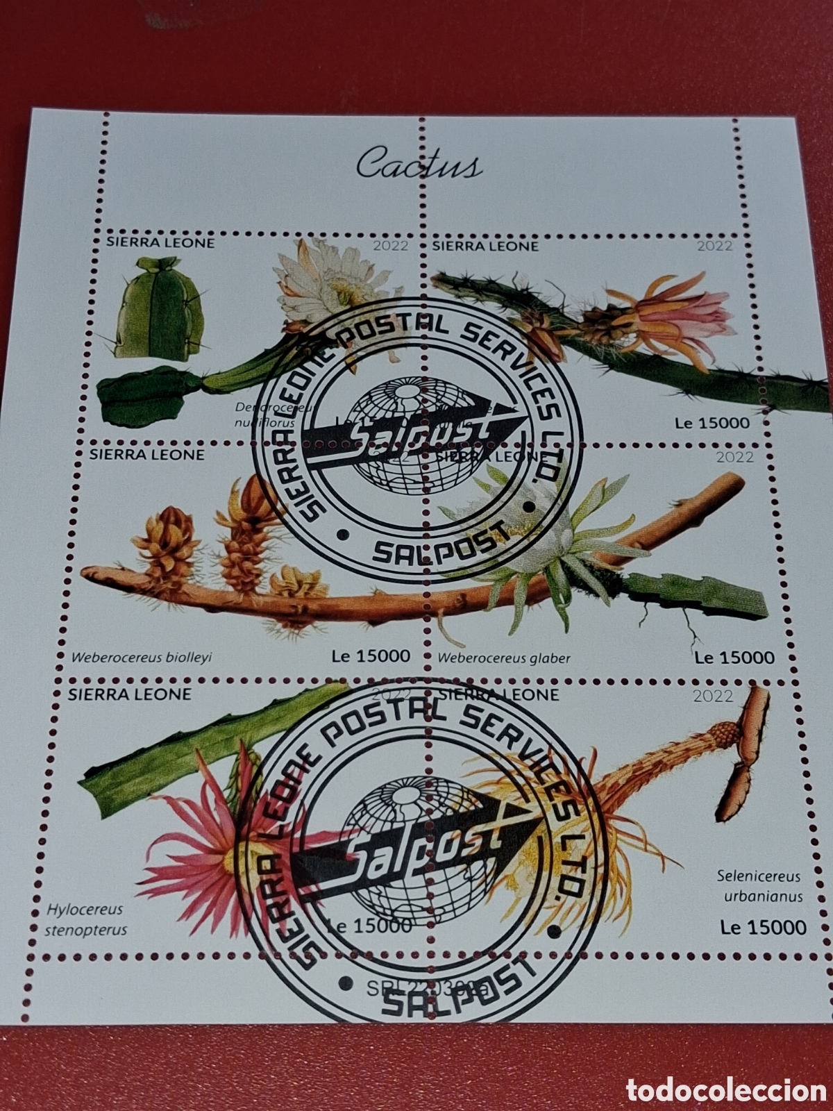 Sellos: HB Sierra Leona mtdo 2022. Cactus. Plantas. Naturaleza. Flora. Desierto. Flores.