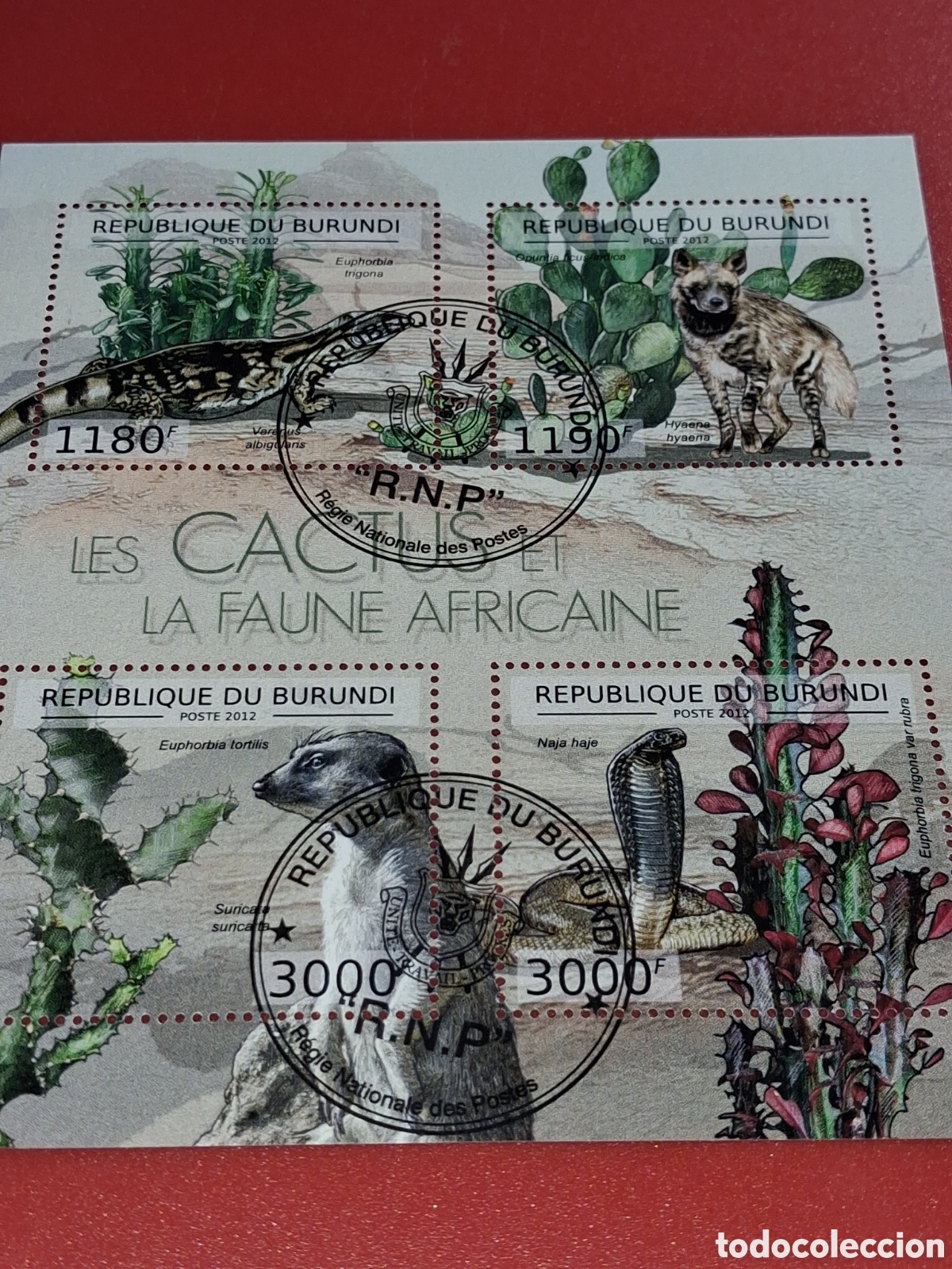 Sellos: HB Burundi mtdo 2012. Cactus. Plantas. Naturaleza. Flora. Desierto. Flores. Fauna. Foca. Hiena. Serp