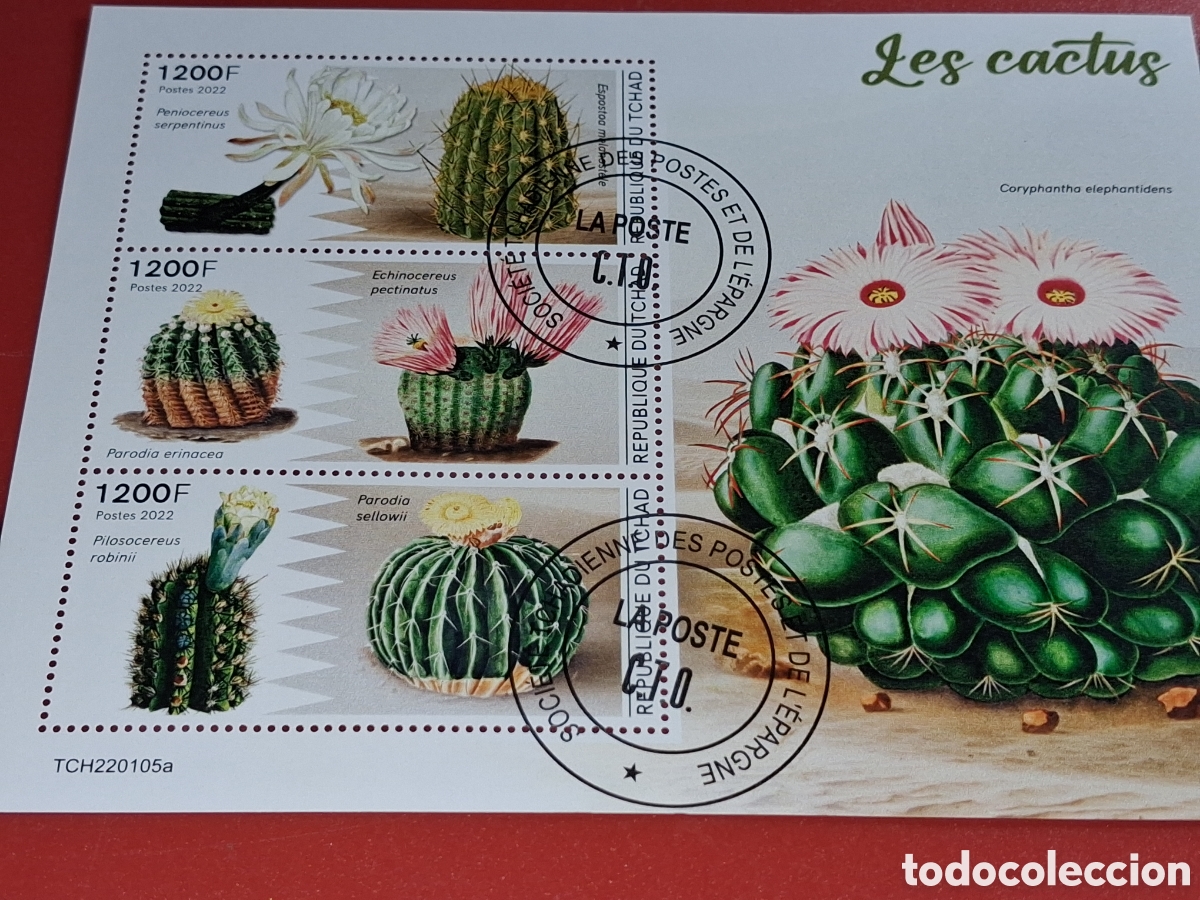 Sellos: HB Chad mtdo 2022. Cactus. Plantas. Naturaleza. Flora. Desierto. Flores.
