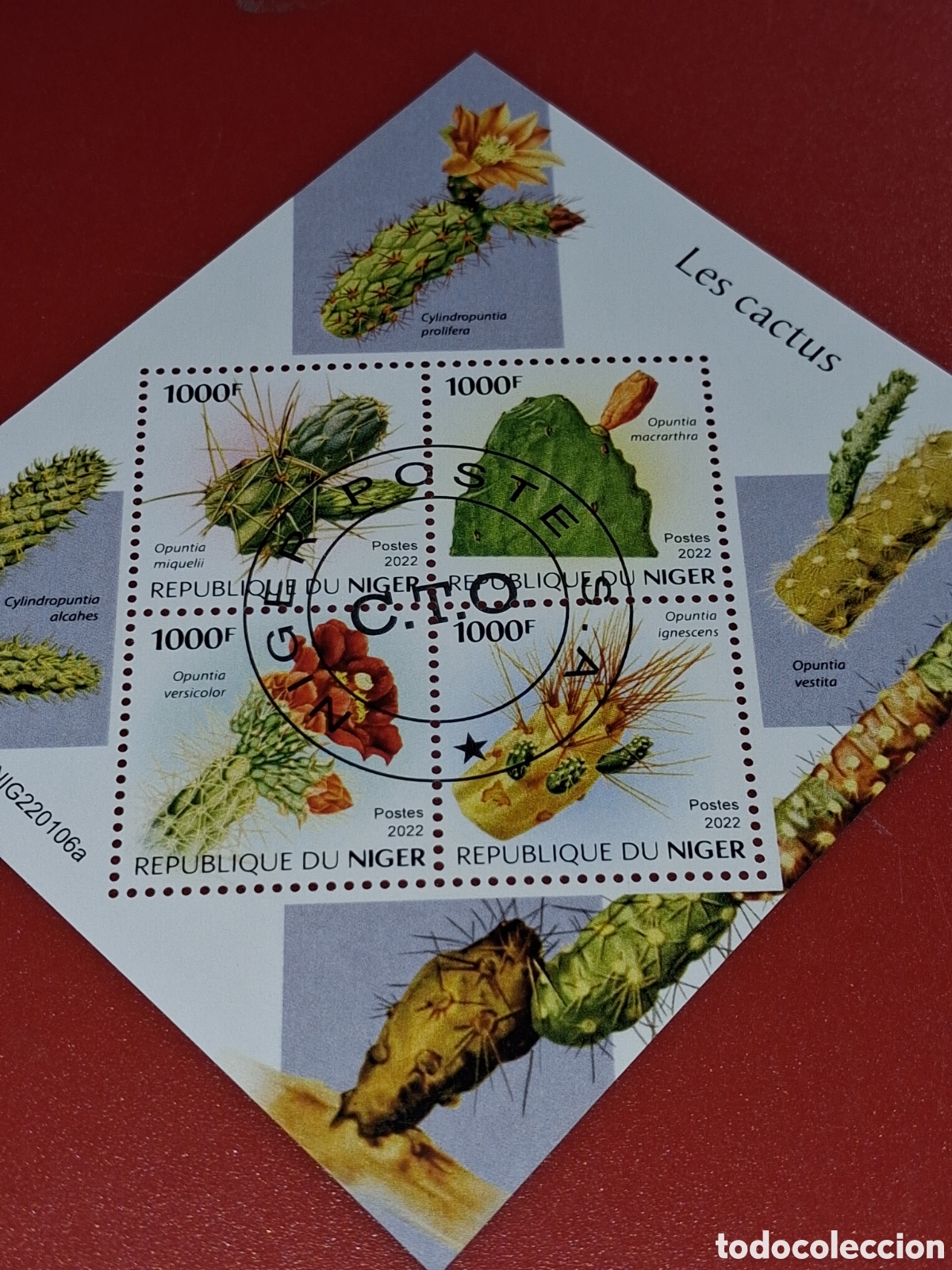 Sellos: HB Niger mtdo 2022. Cactus. Plantas. Naturaleza. Flora. Desierto. Flores.