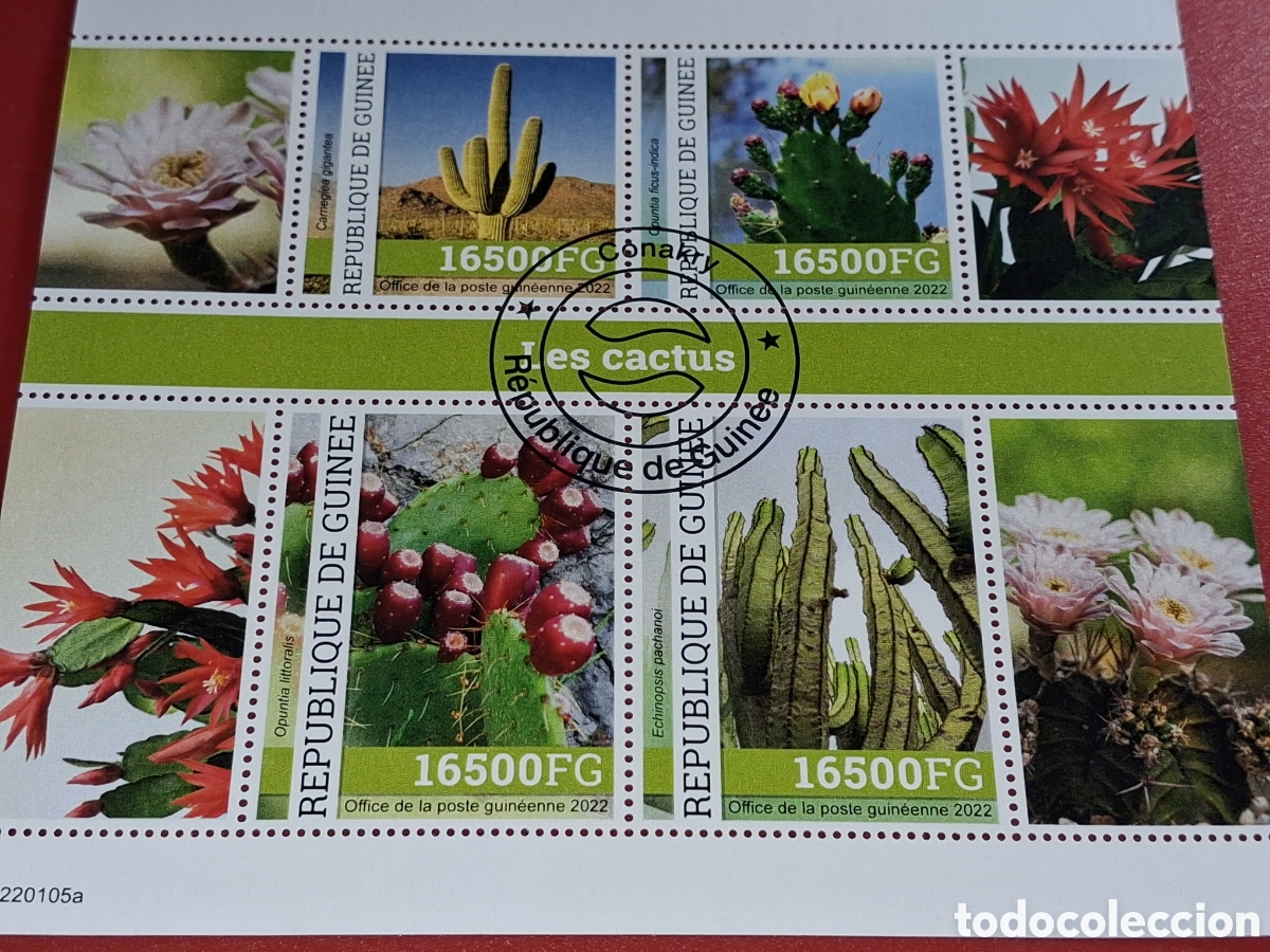 Sellos: HB R. Guinea mtdo 2022. Cactus. Plantas. Naturaleza. Flora. Desierto. Flores.