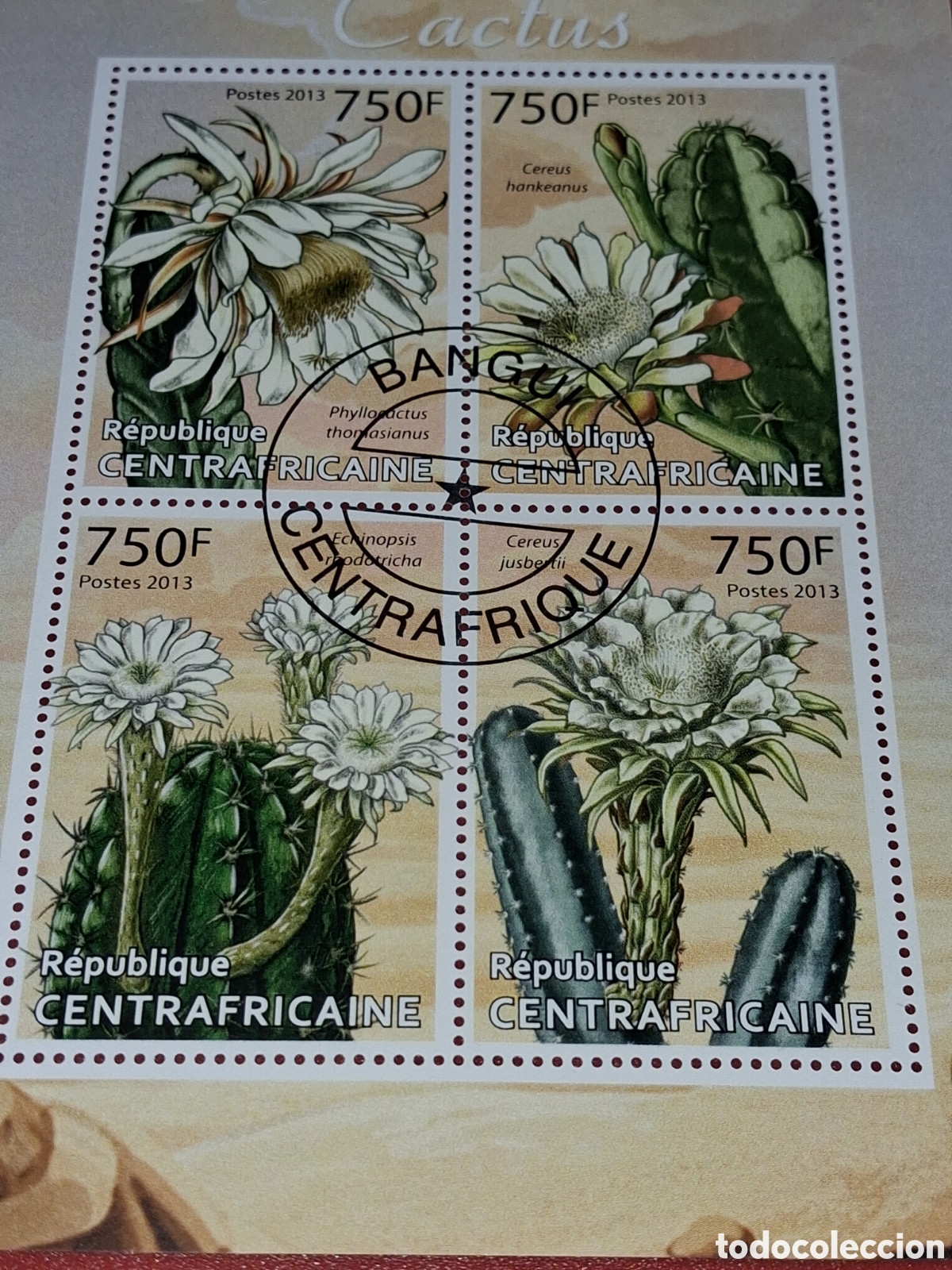 Sellos: HB Centroafricana mtdo 2013. Cactus. Plantas. Naturaleza. Flora. Desierto. Flores.