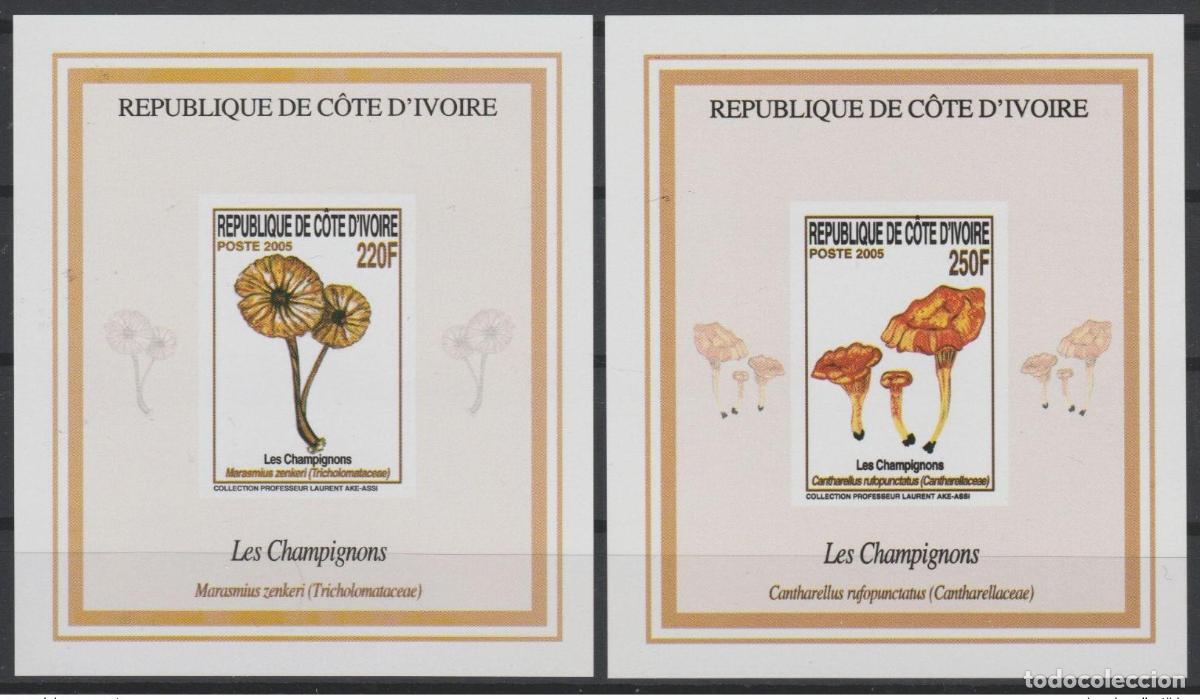 Sellos: Costa de Marfil 2005 Mi. Bl. 180 - 181 Champi&ntilde;ones y Pilze MNH