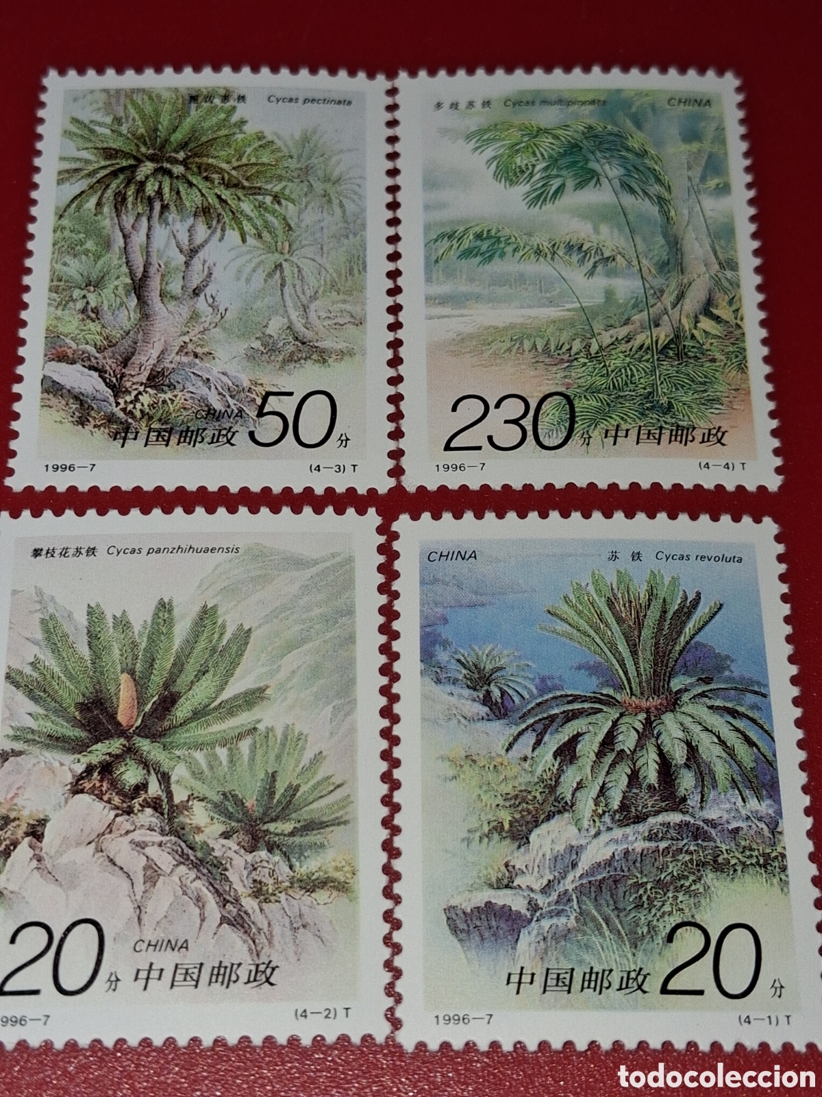 Sellos: Sello China nuevo 1996. Flores. Cacidas. Plantas. Flora. Naturaleza. &Aacute;rboles. Arbustos.