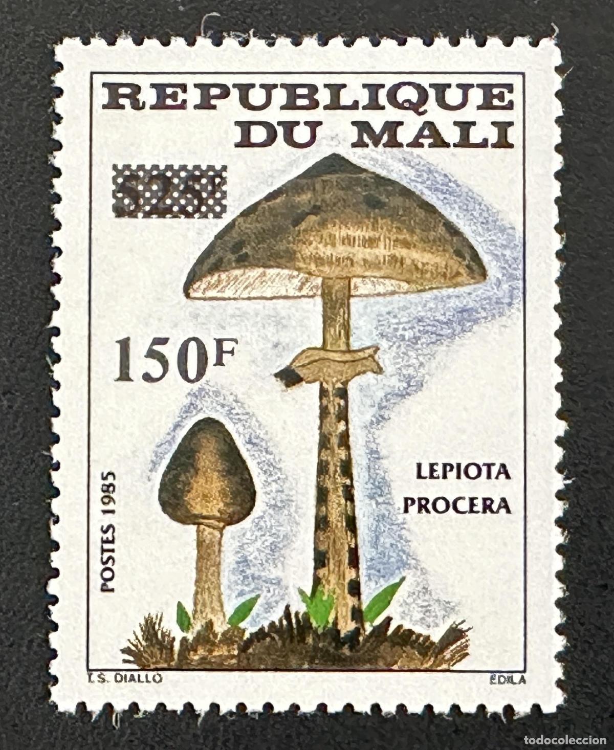 Sellos: Mali 1992 Mi. 1156 sobrecargado hongo Lepiota Procera micolog&iacute;a