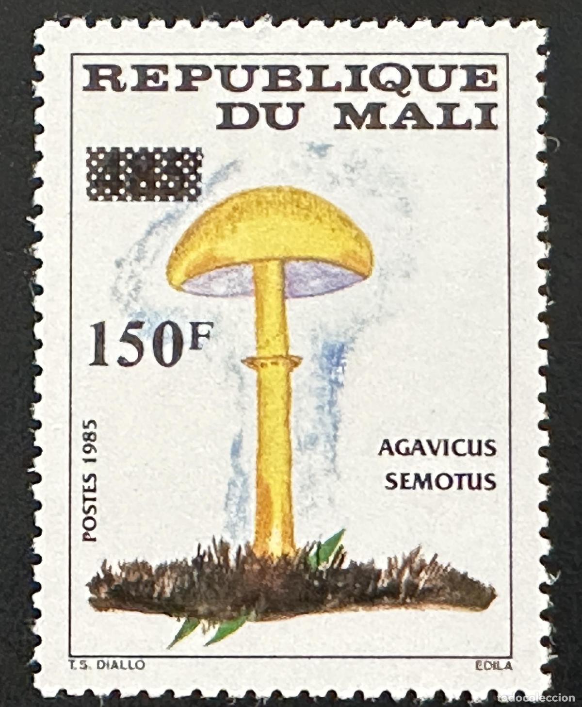 Sellos: Mali 1992 Mi. 1155 sobrecargado hongo Agaricus semotus micolog&iacute;a