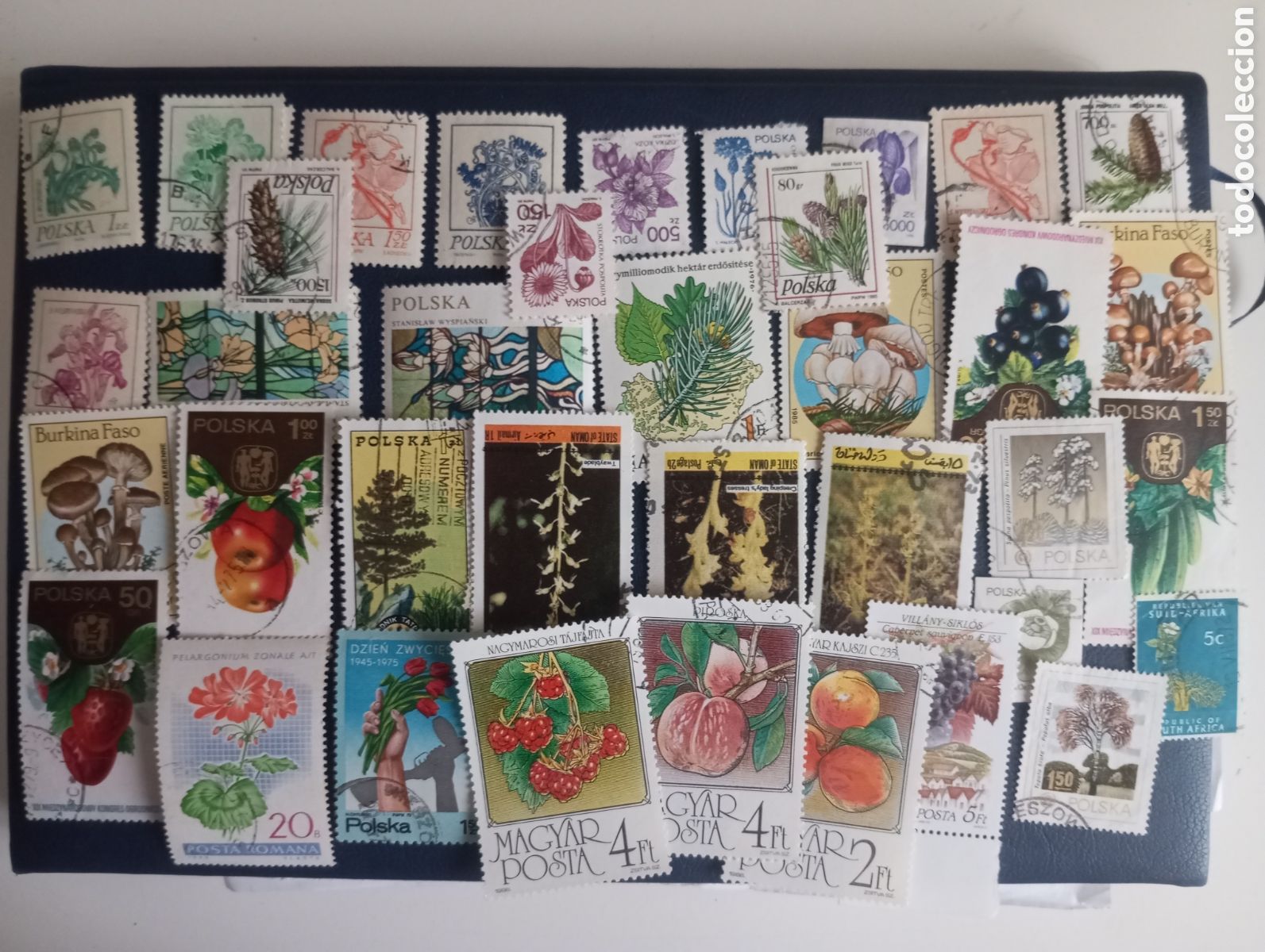 Sellos: LOTE DE 35 SELLOS DIFERENTES DE FLORA Y FRUTOS