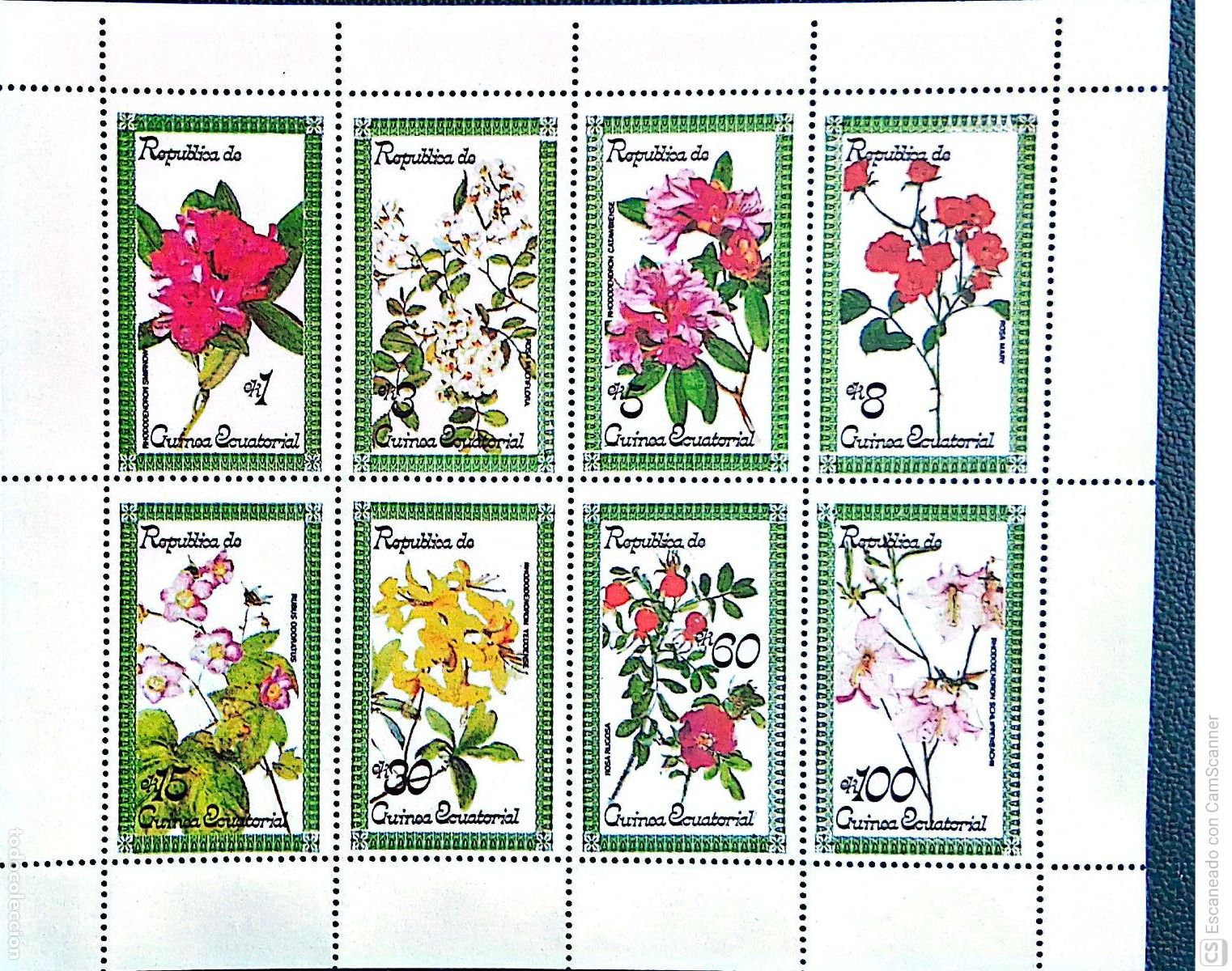 Sellos: Guinea Ecuatorial. 126 Flores ( 8 Valores). 1979. Sellos nuevos y numeraci&oacute;n Yvert.
