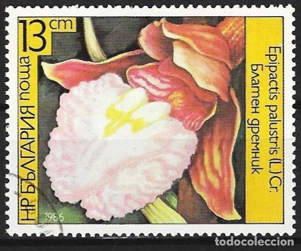 Sellos: Bulgaria 1986 - Mi 3442 - YT 2988 - Flores : Orqu&iacute;deas