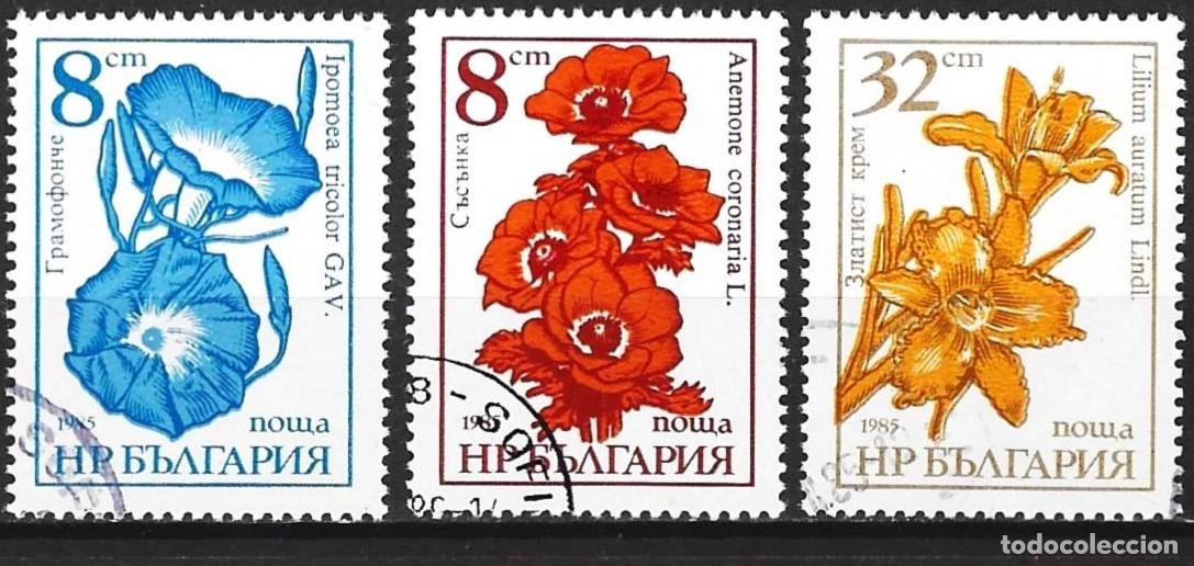 Sellos: Bulgaria 1986 - Mi 3489 a 3491 - YT 3023 a 3025 - Flores