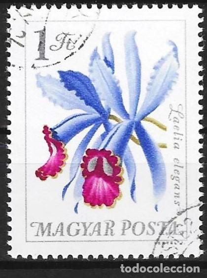 Sellos: Hungria 1965 - Mi 2169 - YT 1771 - Flores : Orqu&iacute;deas