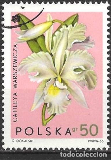 Sellos: Polonia 1965 - Mi 1615 - YT 1466 - Flores : Orqu&iacute;deas