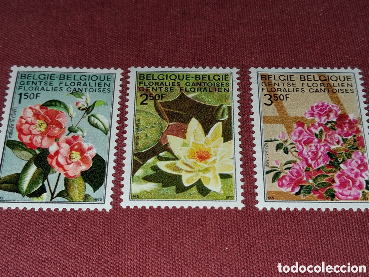 Sellos: Sello B&eacute;lgica nuevo 1970. Feria flores Gante. Nenufar. Naturaleza. Plantas. Flora. Azules. Camelia