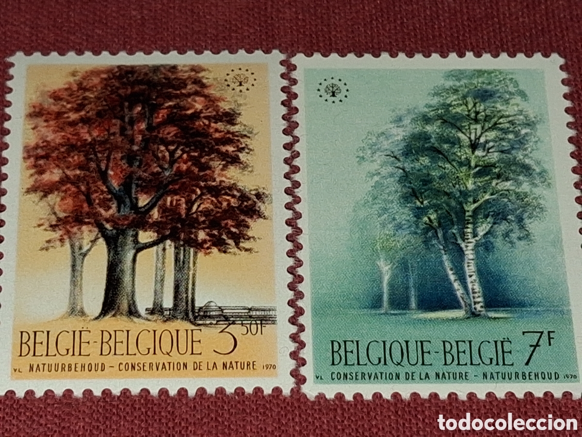 Sellos: Sello B&eacute;lgica nuevo 1970. A&ntilde;o Protecci&oacute;n naturaleza. &Aacute;rboles. Flora. Plantas.