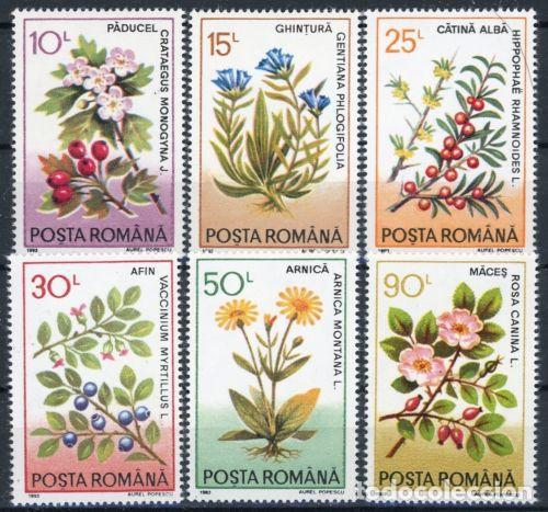 Sellos: Rumania 1993 Ivert 4057/62 *** Flora - Plantes Medicinales