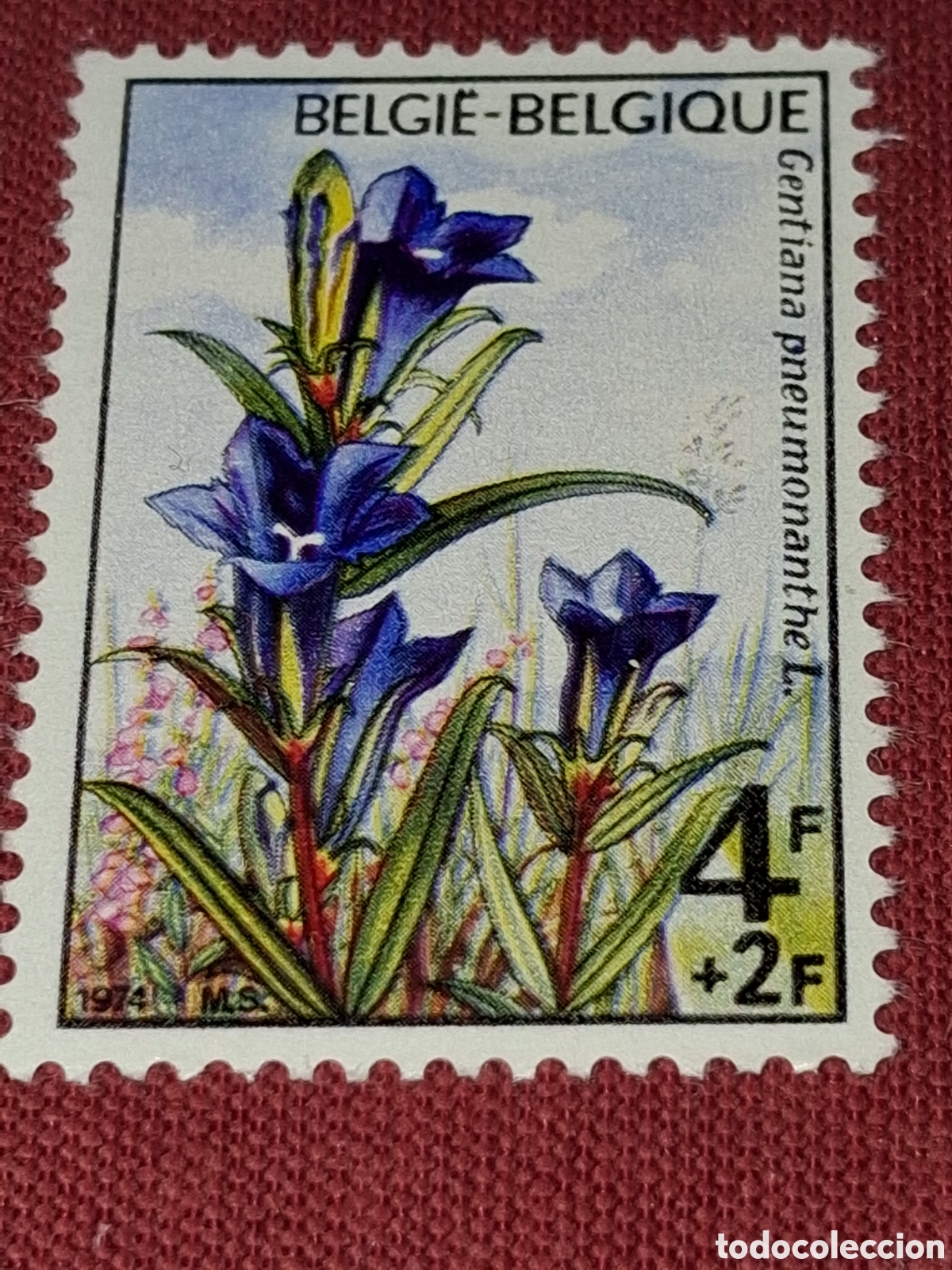 Sellos: Sello (1/4v) B&eacute;lgica nuevo 1974. Solidaridad. Naturaleza. Flora. Flores. Genciana. Plantas