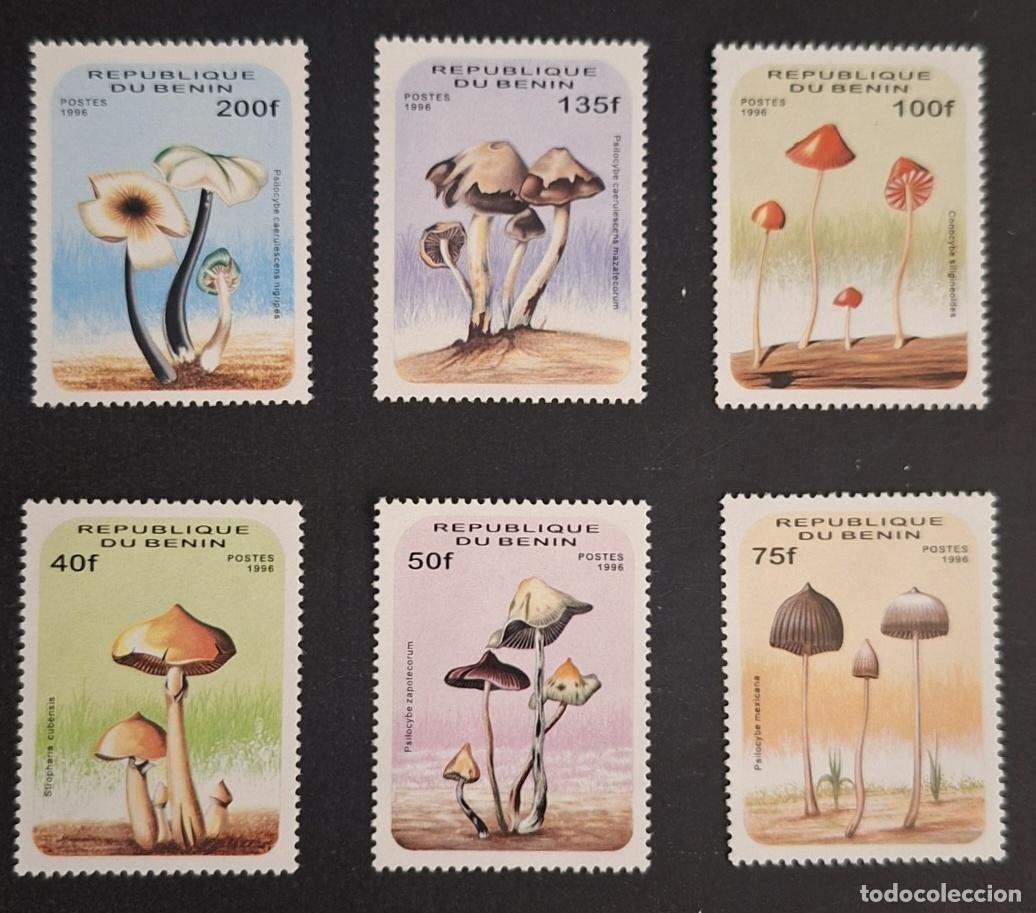 Sellos: Ben&iacute;n 1996 Mi. 849-854 hongos Psilocybe Conocybe micolog&iacute;a flora