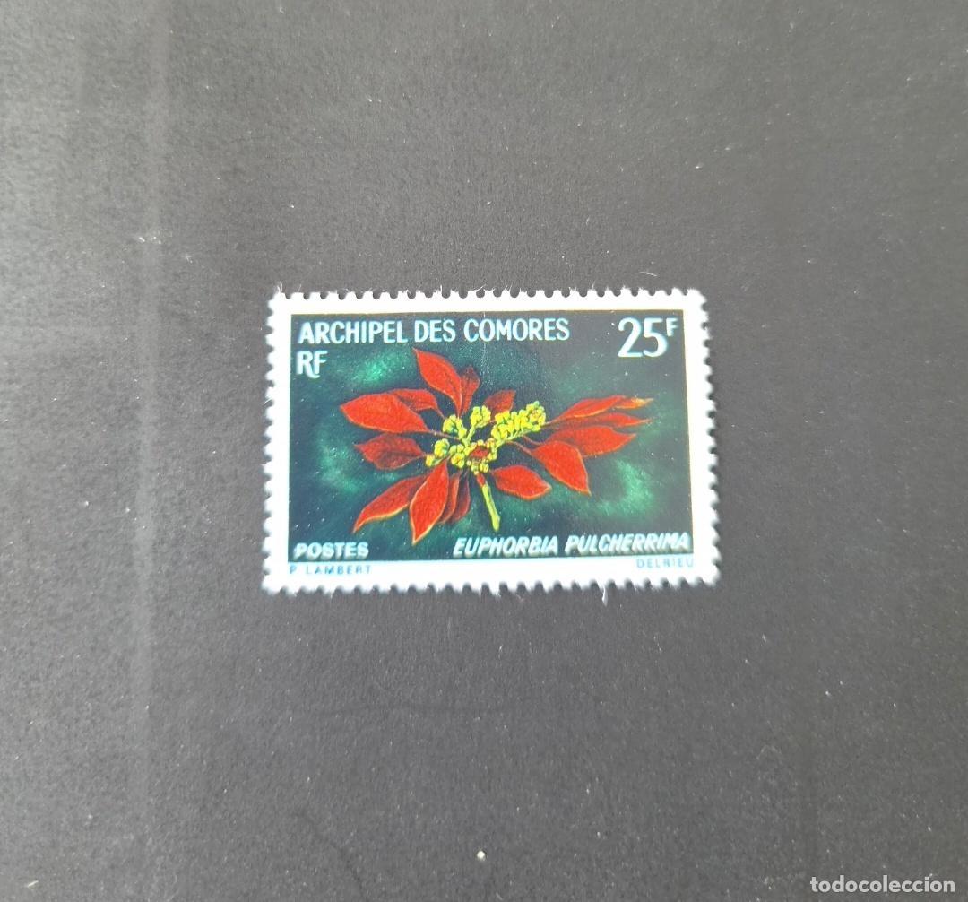 Sellos: Comoras 1970 Mi. 104 Euphorbia pulcherrima nochebuena flor flora