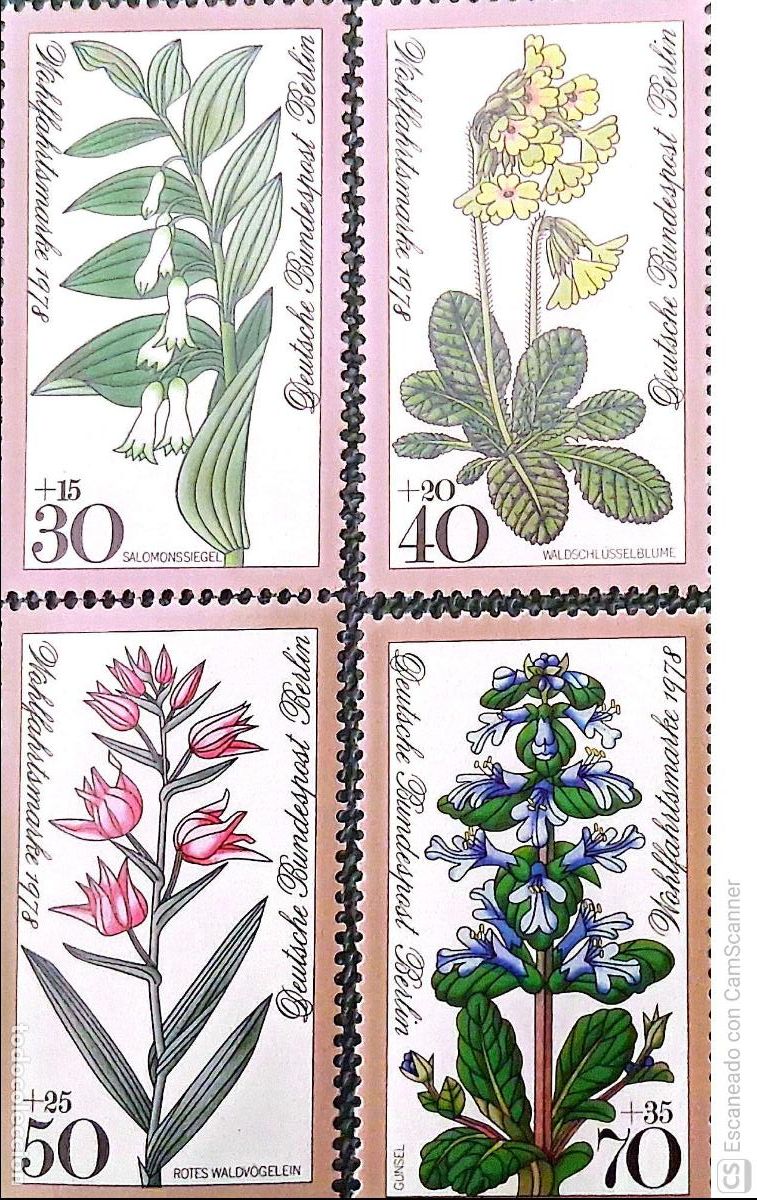 Sellos: Berl&iacute;n. 535/38 Flores del bosque: Sello de Salom&oacute;n, primavera, orqu&iacute;dea, ajuga reptans. 1978. Sell