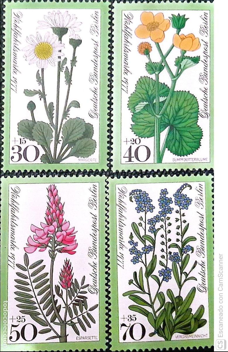 Sellos: Berl&iacute;n. 518/21 Flores de los prados: Margarita, cal&eacute;ndula, onobrychis, nomeolvides. 1977. Sellos n