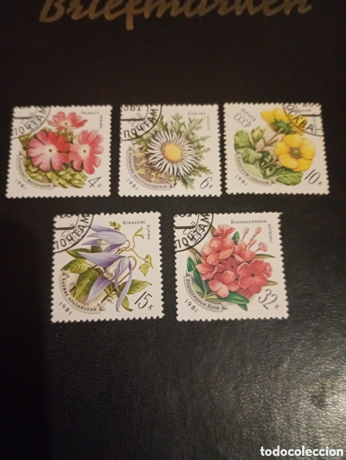 Sellos: Sello URSS 1981 Flores