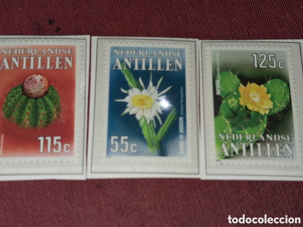 Sellos: Sello Antillas Holandesas nuevo 1988. Cactus. Plantas. Flores. Flora. Naturaleza.