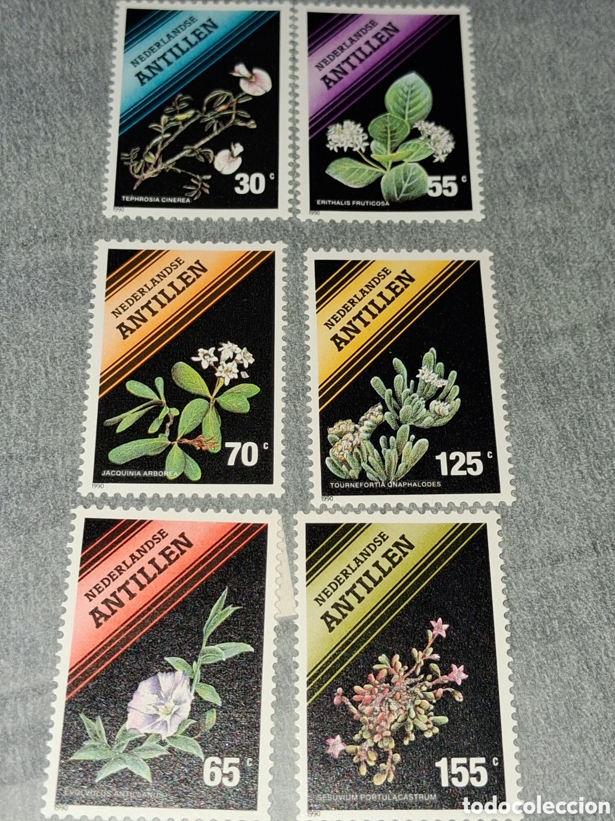Sellos: Sello Antillas Holandesas nuevo 1991. Plantas. Flores. Flora. Naturaleza.