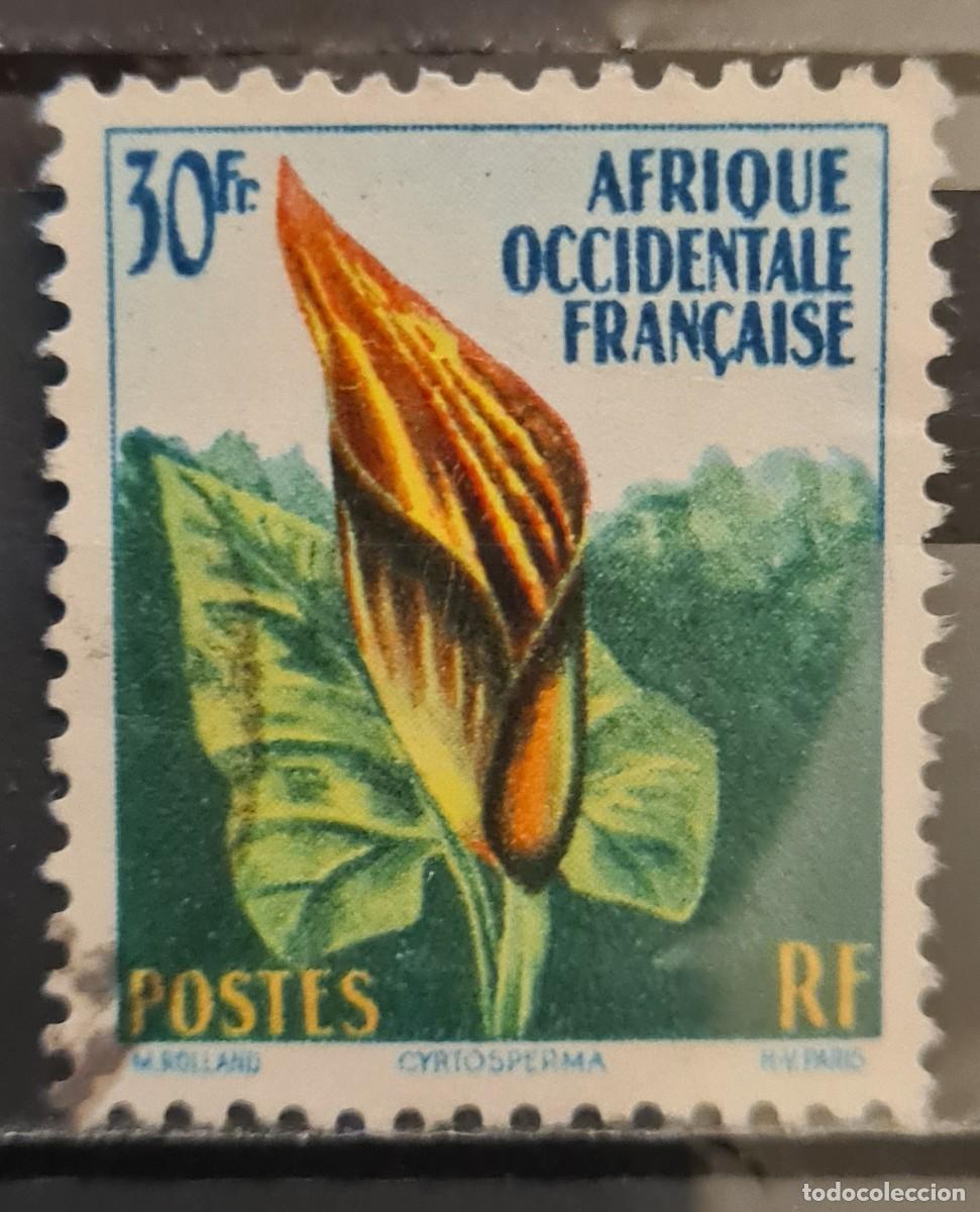 Sellos: Sello usado de &Aacute;frica Occidental Francesa 1958. Flora: Cyrtosperma