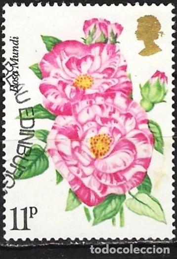 Sellos: Gran Breta&ntilde;a 1976 - Mi 713 - YT 797 - Flores : Rosas