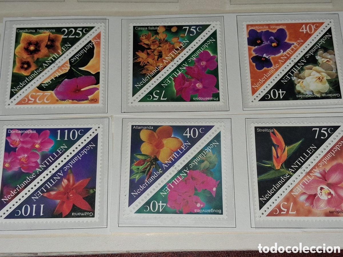 Sellos: Sello Antillas Holandesas nuevo 1999. Flores. Flora. Naturaleza. Gaedenia. Plantas.