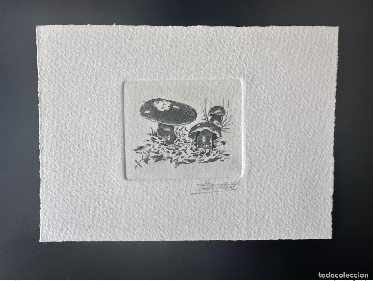 Sellos: B&eacute;lgica 1991 COB 2420 Prueba de artista FDC Funghi Mushroom Boletus