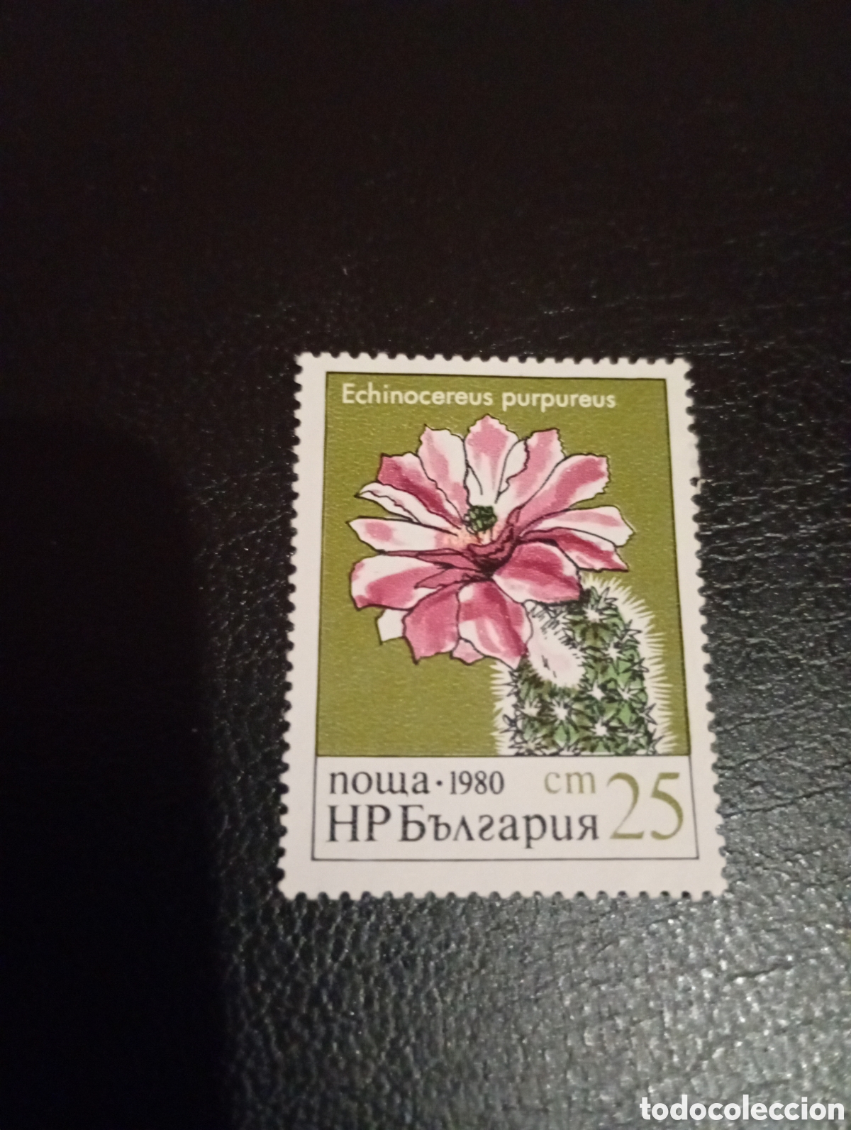 Sellos: Bulgaria 1980 flores cactus