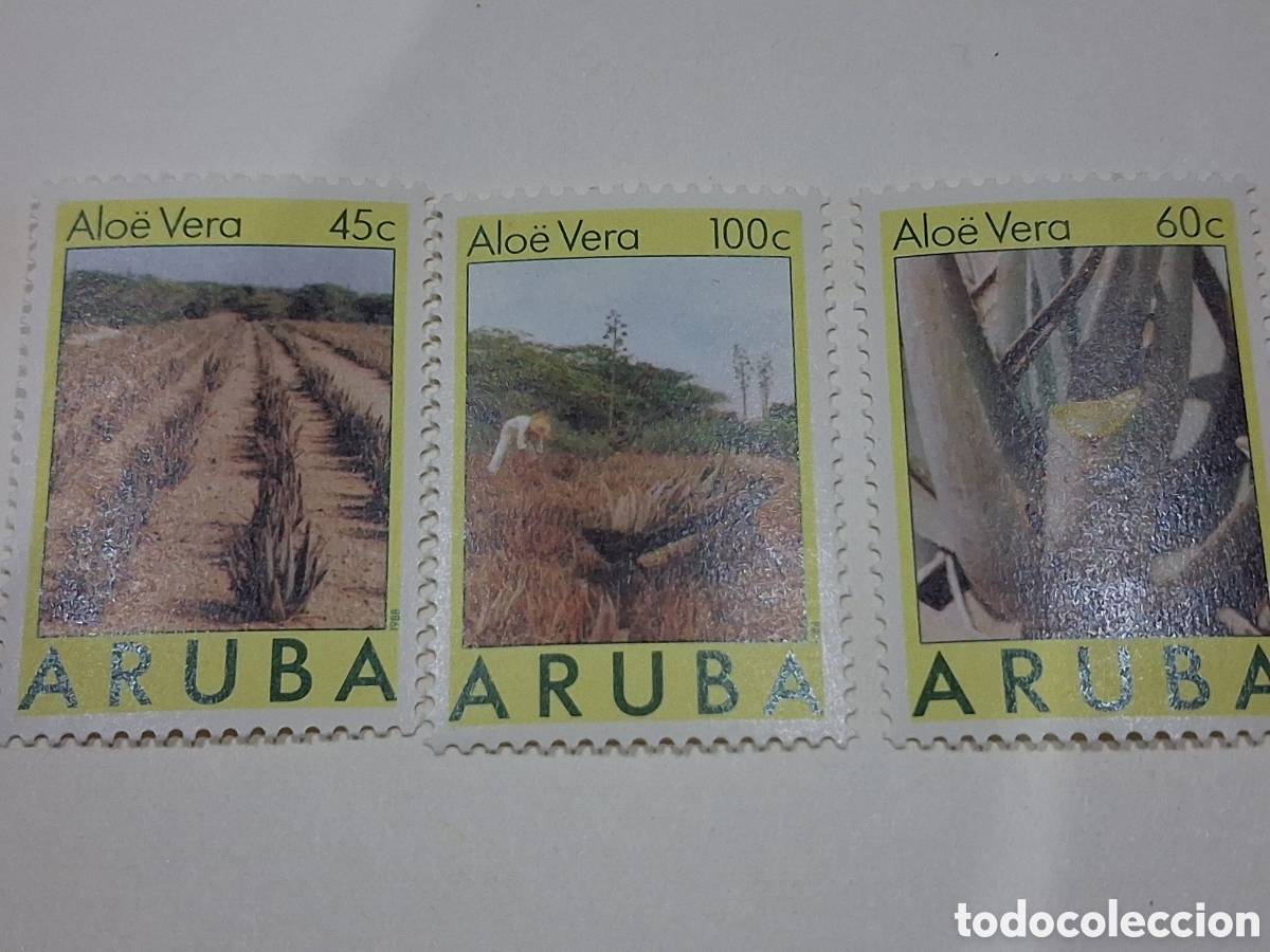 Sellos: Sello Aruba nuevo 1988. Alo vera. Plantas. Flora. Flores. Naturaleza. Medicinales. Plantaci&oacute;n. Agric