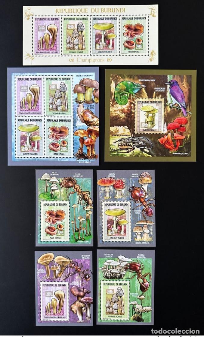 Francobolli: Burundi 2014/2015 Mi. 3562 - 3566 Bl. 557 561 Hongos de p&aacute;jaro Funghi Oiseau