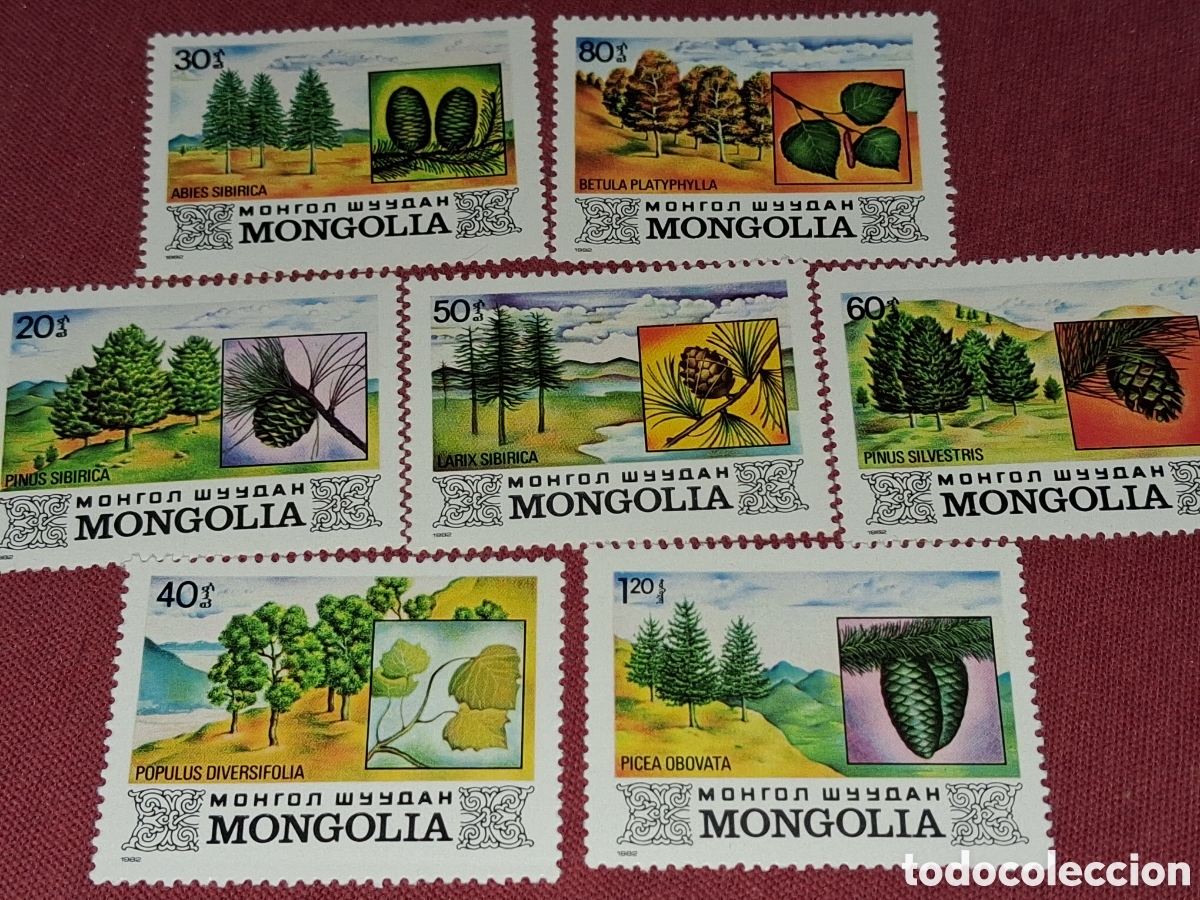 Sellos: Sello Mongolia nuevo 1982. &Aacute;rboles mongol. Flora. Plantas. Semilla. Pino. Abeto. Naturaleza.