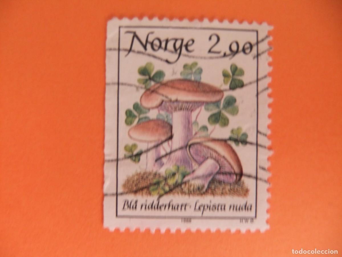 Selos: 59 NORUEGA NORGE 1988 / FLORA SETAS (LEPISTA NUDA) / YVERT 946 FU