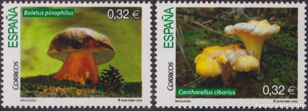 Briefmarken: F-EX63957 ESPA&Ntilde;A SPAIN MNH 2009 SETAS MUSHROOMS MICOLOGY.