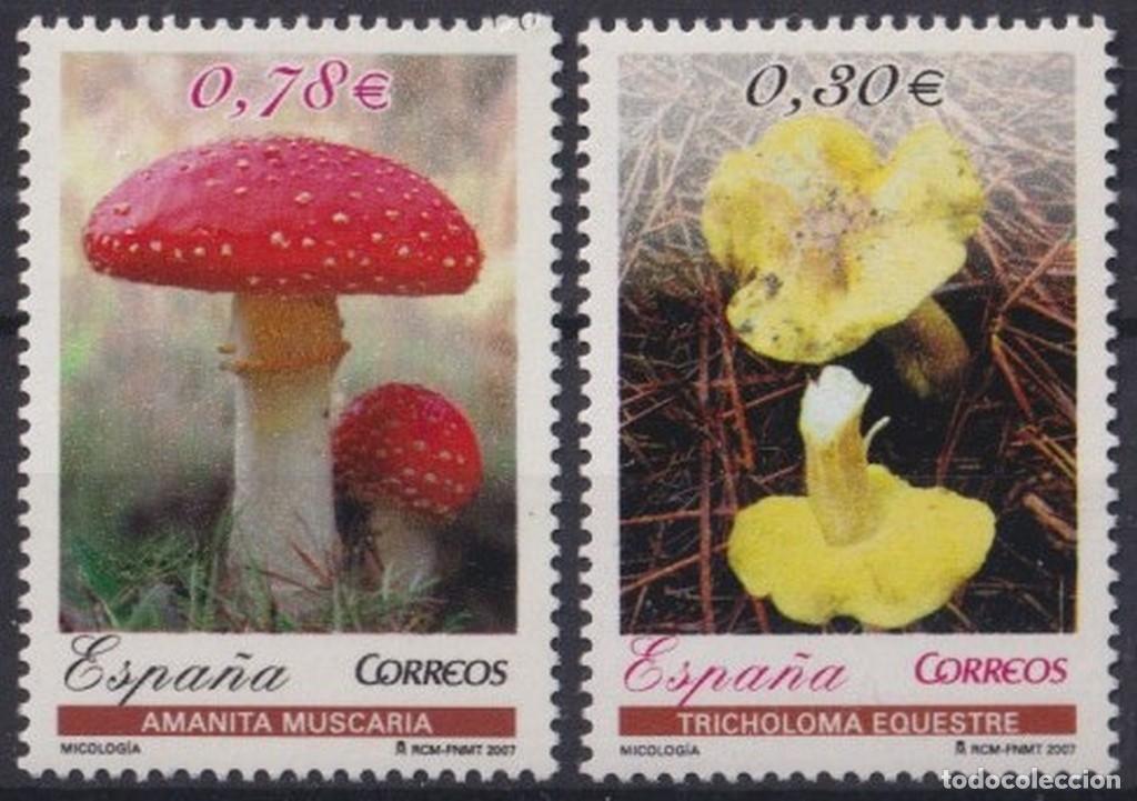 Briefmarken: F-EX64514 ESPA&Ntilde;A SPAIN MNH 2007 SETAS MICOLOG&Iacute;A.