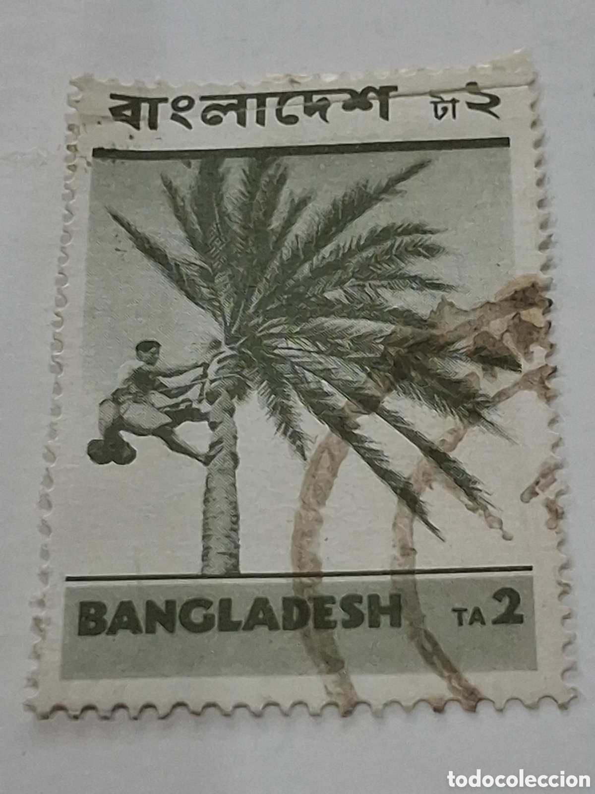 Timbres: Sello (1/14v) Banglades mtdo/bgr 1973. Aspectos locales. Arbol. Palmera. D&aacute;tiles. Flora. Plantas. Na