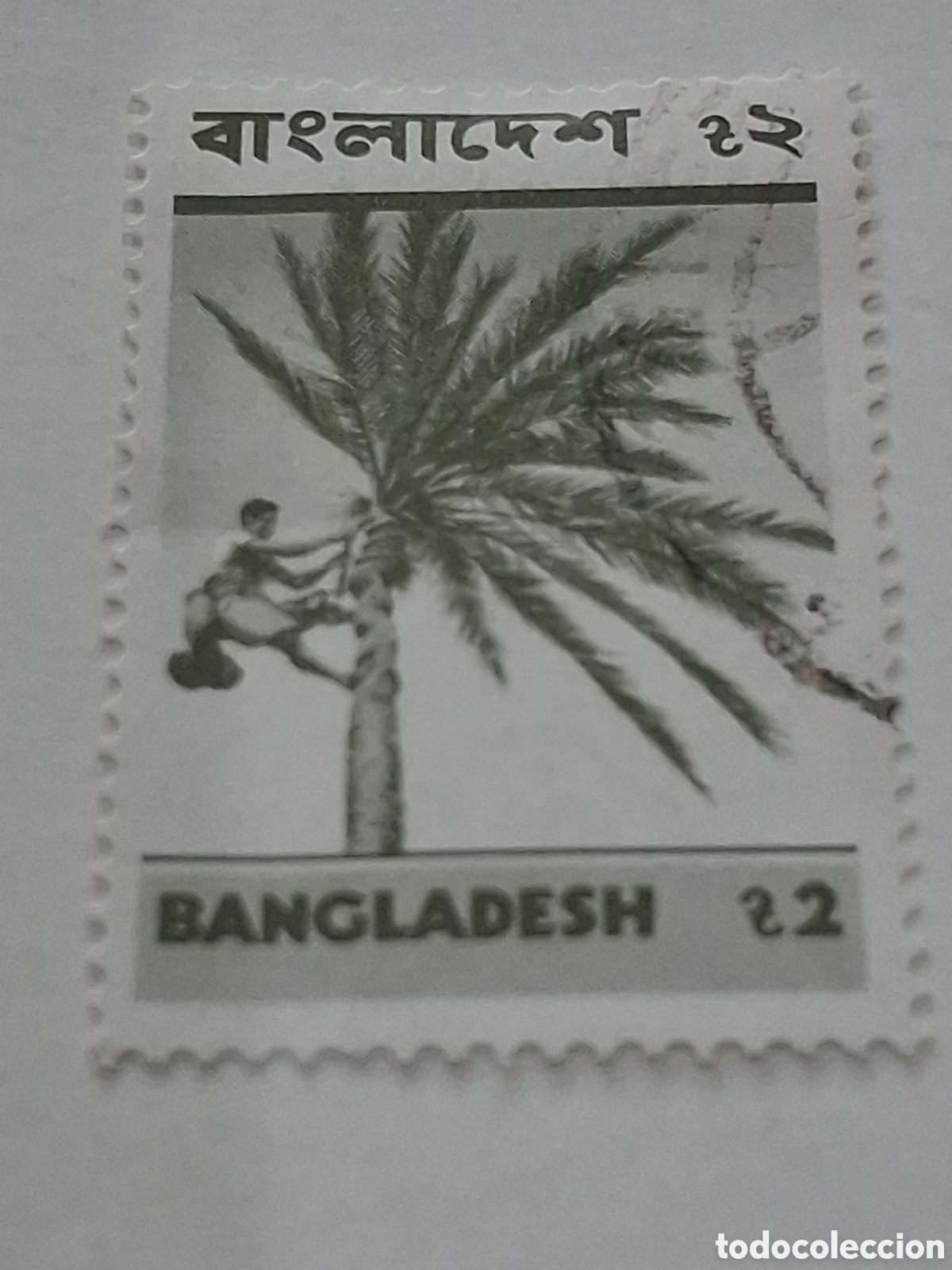 Timbres: Sello (1/14v) Banglades mtdo/bgr 1973. Aspectos locales. Arbol. Palmera. D&aacute;tiles. Flora. Plantas. Na