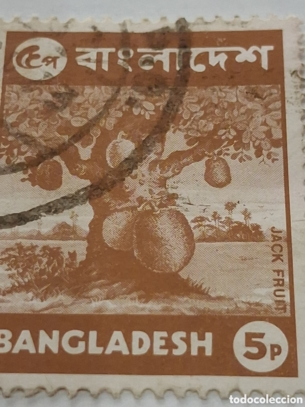 Selos: Sello (1/14v) Banglades mtdo/bgr 1973. Aspectos locales. Arbol del yaca. Flora. Plantas. Naturaleza