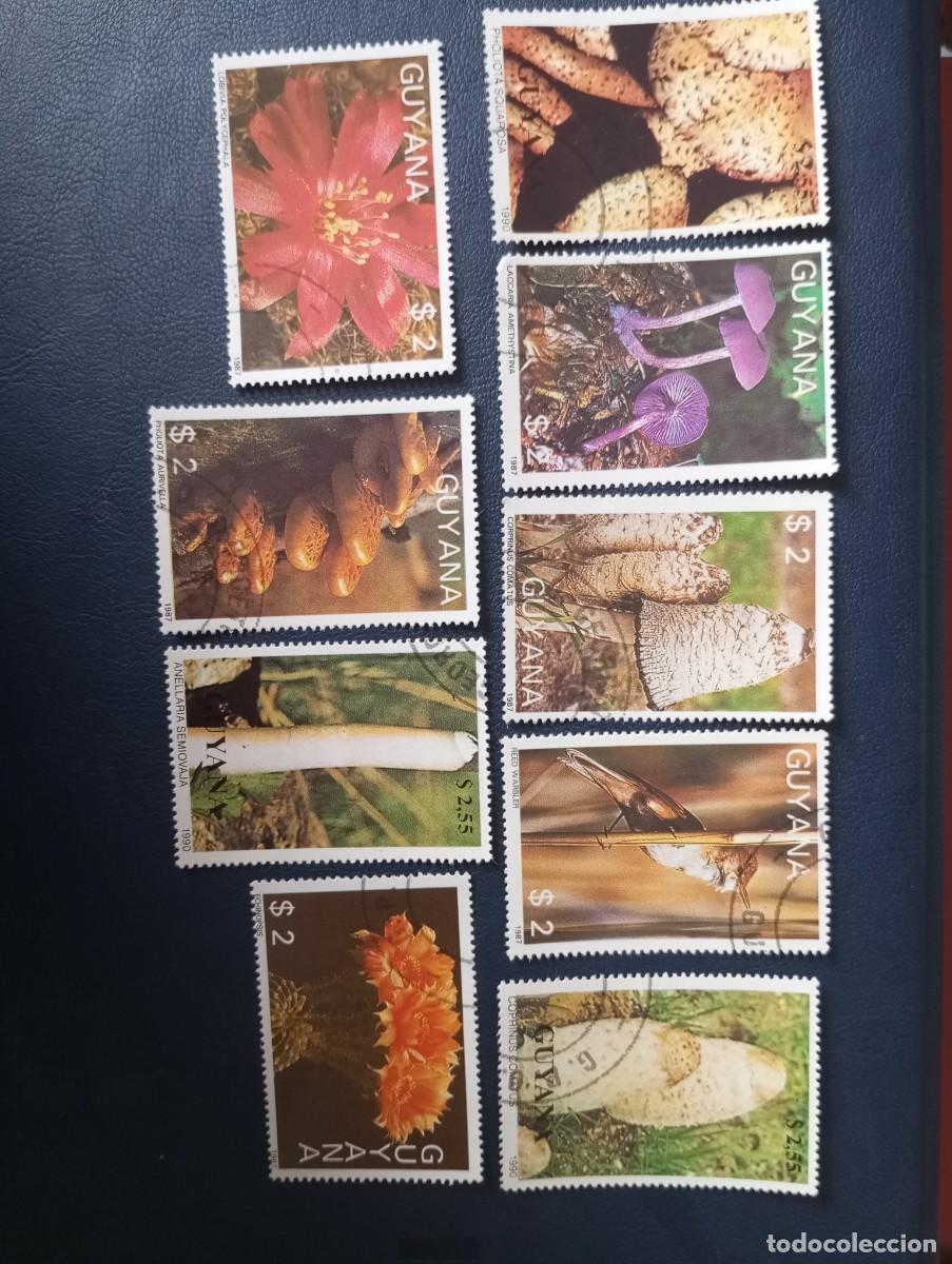 Sellos: SETAS, FLORES DE CACTUS, SELLOS DE GUYANA 1987/1990